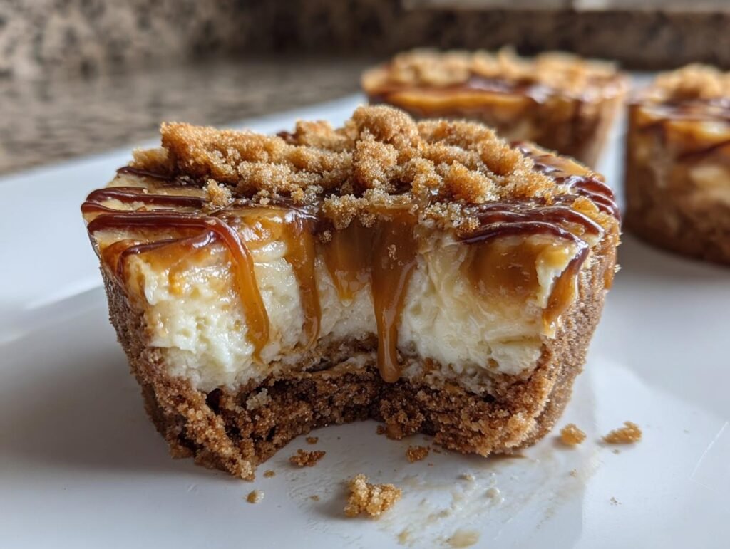 Gros plan d'un mini cheesecake Biscoff sans cuisson, garni de miettes et de sauce caramel.